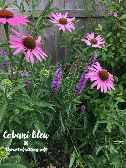 How to Design a Colorful Backyard Garden | CobaniBleu | www.cobanibleu.com | CobaniBleu | www.cobanibleu.com